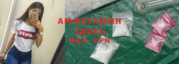 ешки Вяземский
