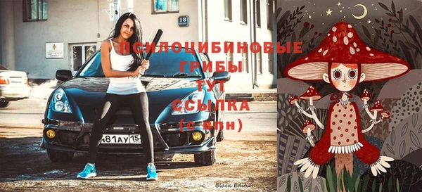 прущая мука Вязники