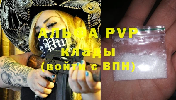 ешки Вяземский