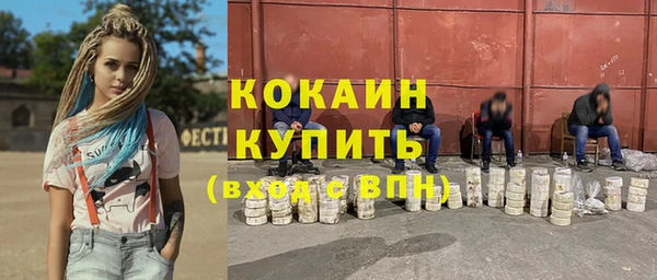 ешки Вяземский