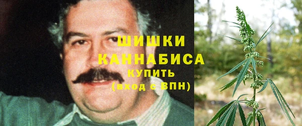 ешки Вяземский