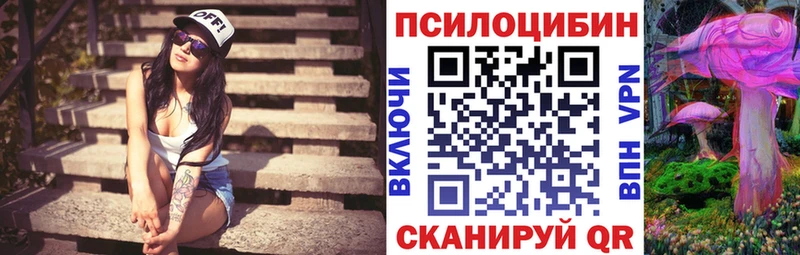 Псилоцибиновые грибы Psilocybine cubensis  Звенигово 